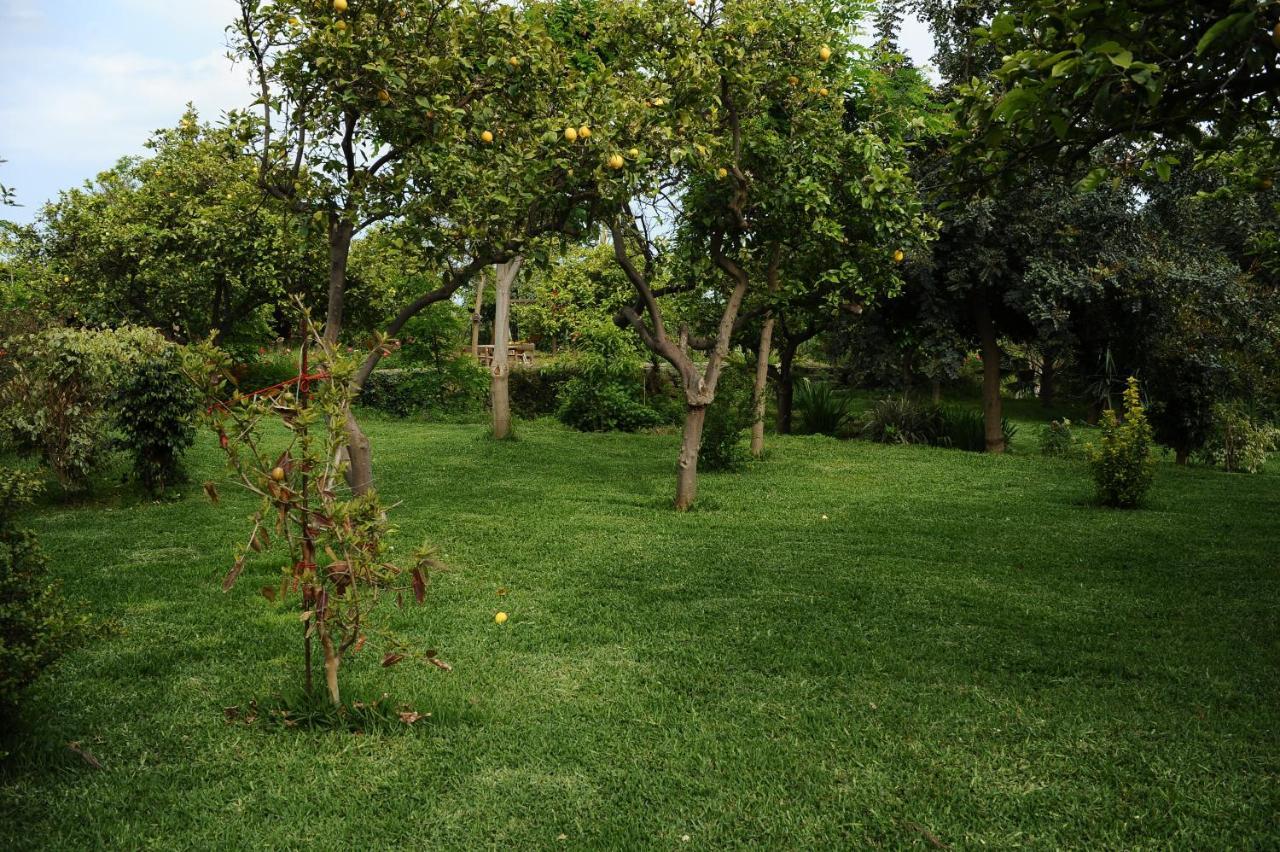 Tenuta Santa Tecla Acireale Zewnętrze zdjęcie